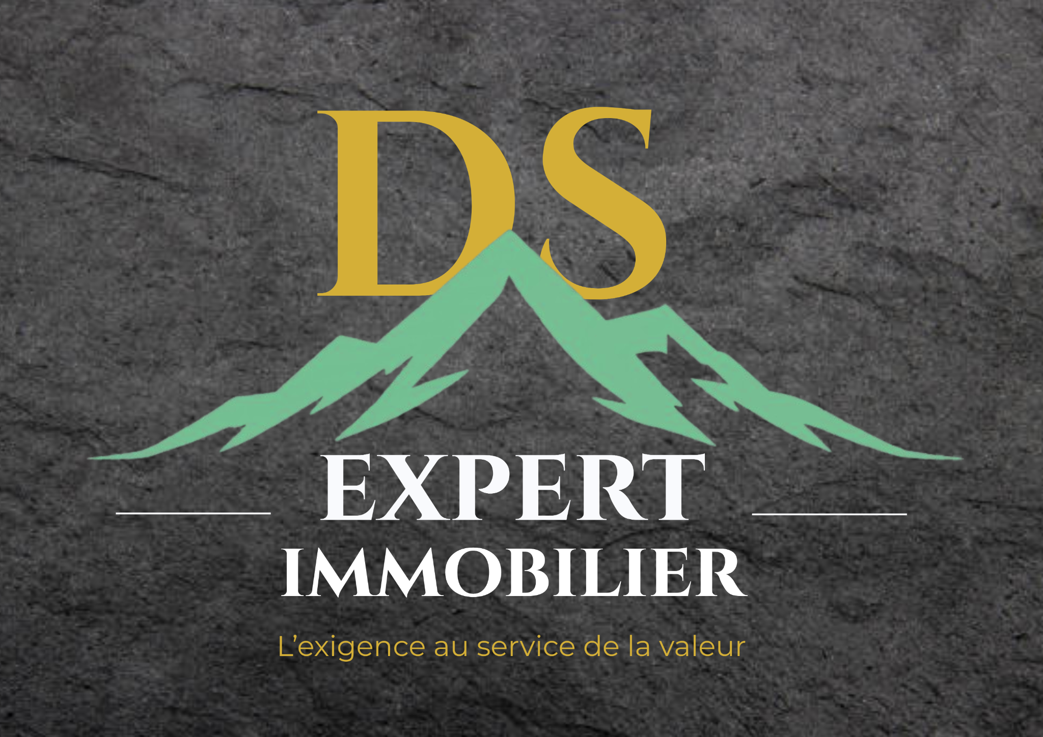DS Expert Immobilier