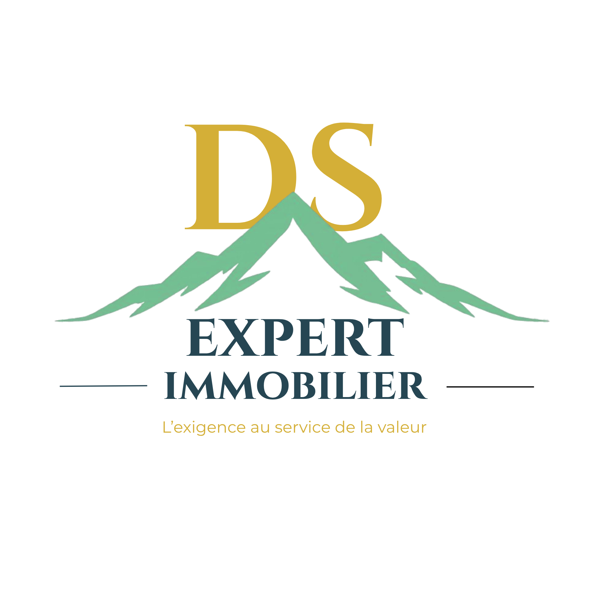 DS Expert Immobilier